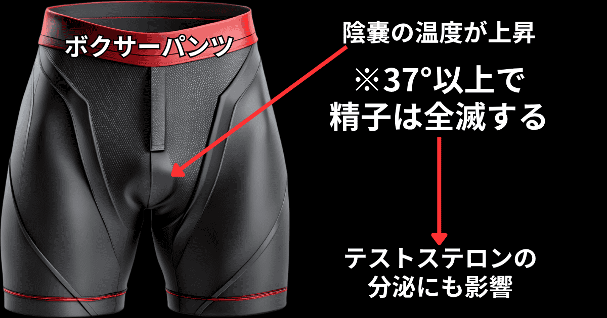 ボクサーパンツのデメリット